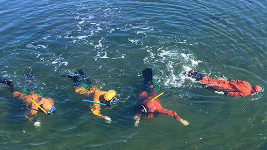 達蓮海參告訴你怎樣吃海參最有營養(yǎng)